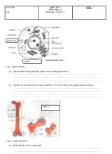 Kiểm tra môn sinh 8 thời gian  45 phút